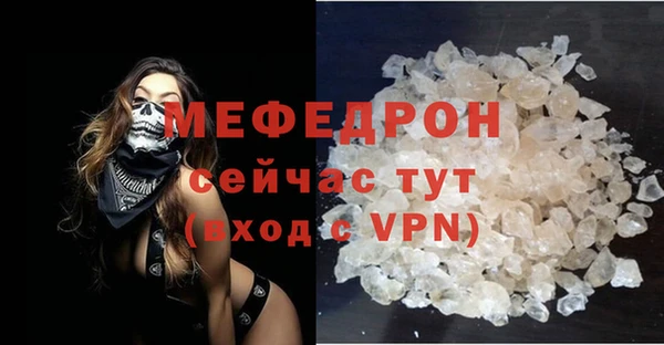 индика Елабуга