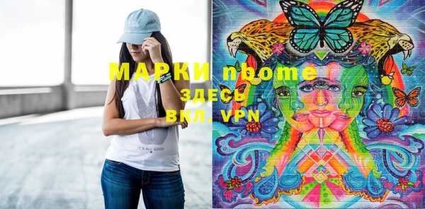 индика Елабуга