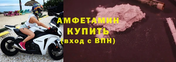 индика Елабуга