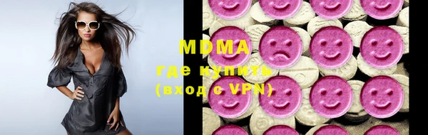 индика Елабуга