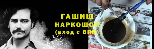 индика Елабуга