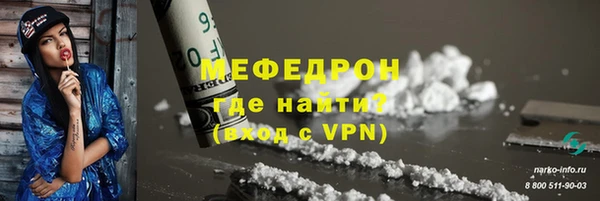 индика Елабуга