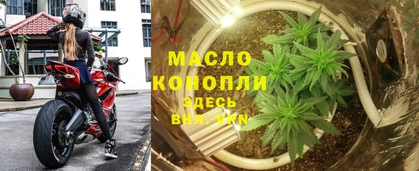 индика Елабуга