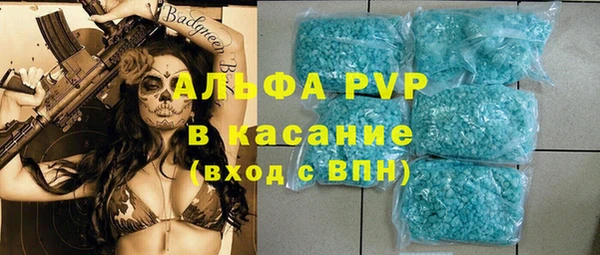 крисы Ельня