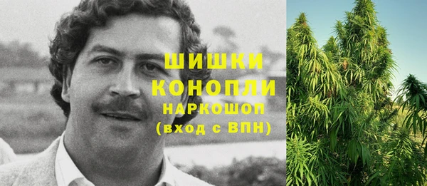 крисы Ельня
