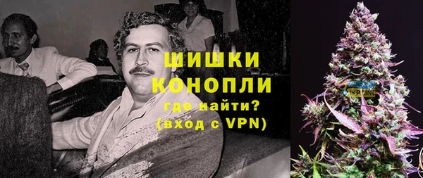 крисы Магадан