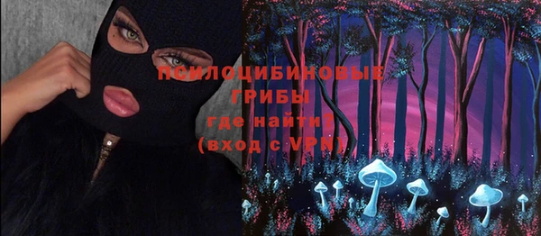 крисы Ельня