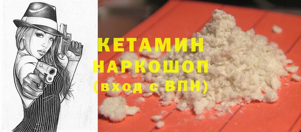 индика Елабуга