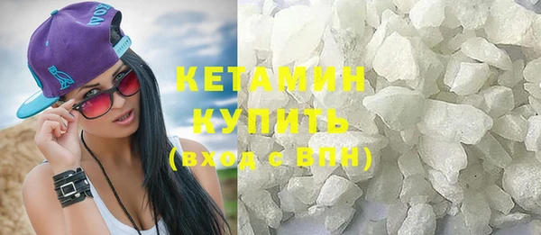 крисы Ельня