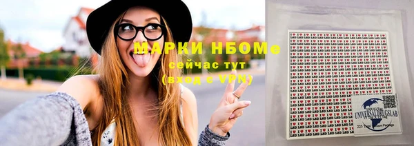 крисы Ельня