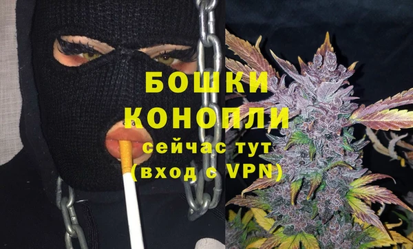 бошки Бронницы