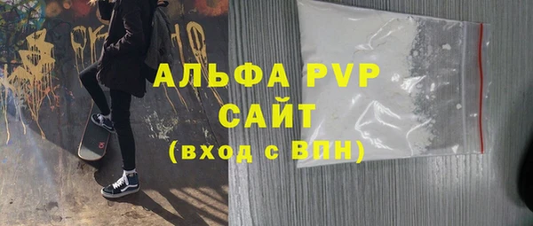индика Анжеро-Судженск