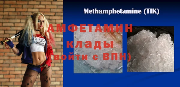 крисы Ельня