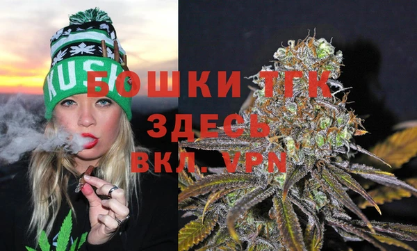 дурь Анива