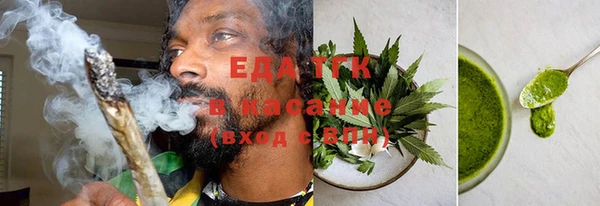 индика Елабуга