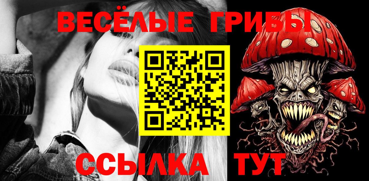Заволжье  Галлюциногенные грибы Magic Shrooms  Вход с VPN 